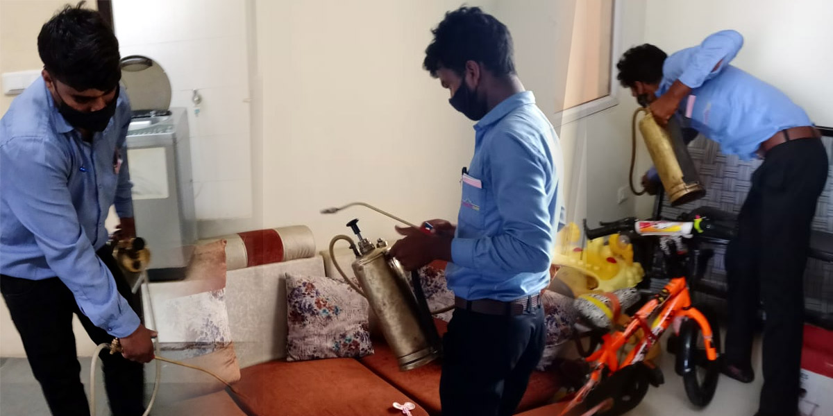 Pest Control Delhi